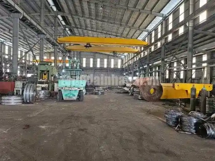 4 Bán kho xưởng KCN Tân Đô, Đường số 1, Xã Đức Hòa Đông, Huyện Đức Hoà, Long An