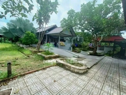 4 Nhà vườn đẹp giá rẻ cần bán nhanh ở 139A đường Lộ Thống Nhấp ấp Bình Thành, xã Bình Phú, TP. Bến Tre
